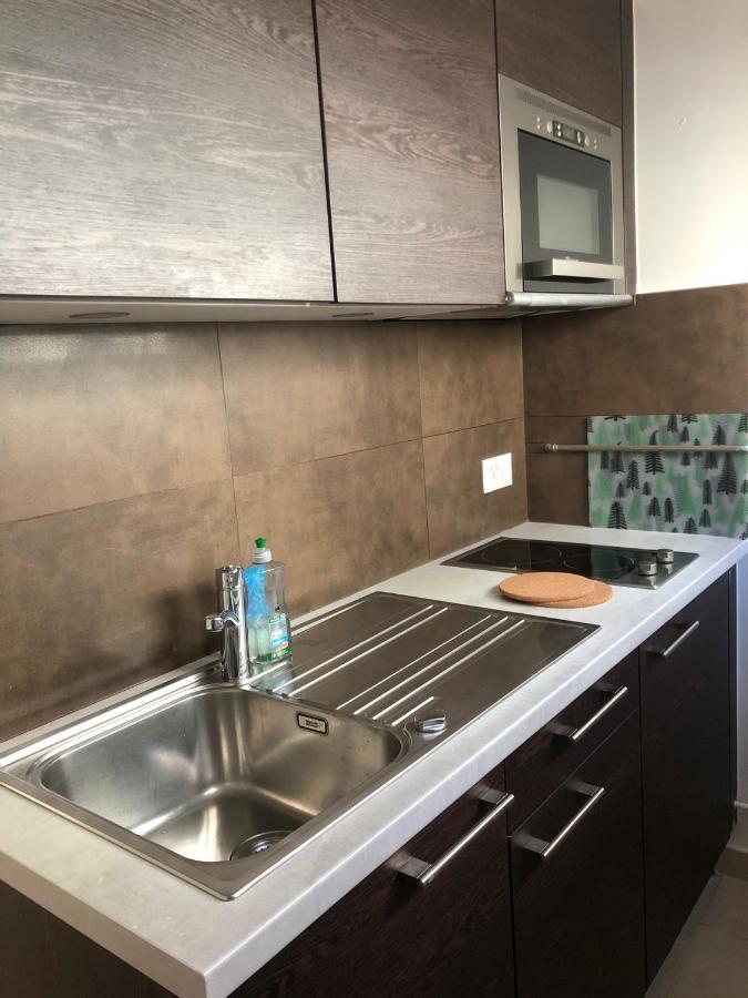L'Appartement Du Pere Noel Geneva Ngoại thất bức ảnh